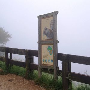 Lion Viewpoint at Cabarceno, 11/06/15