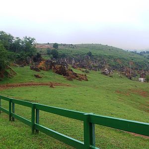 African Elephant Enclosure at Cabarceno, 11/06/15