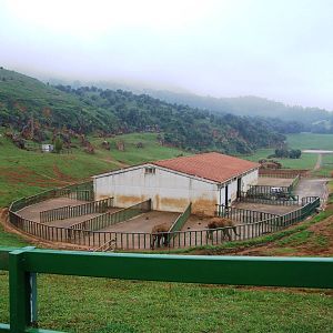 African Elephant Enclosure at Cabarceno, 11/06/15