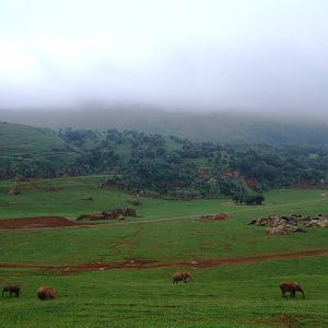 African Elephant Enclosure at Cabarceno, 11/06/15