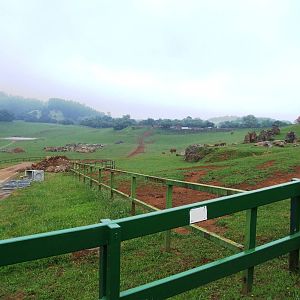 African Elephant Enclosure at Cabarceno, 11/06/15