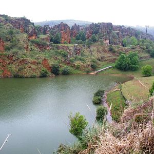 Common Hippo Lake at Cabarceno, 11/06/15