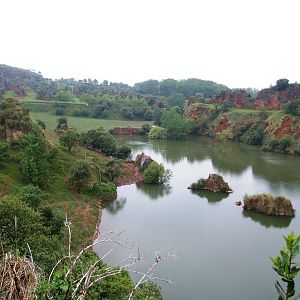 Common Hippo Lake at Cabarceno, 11/06/15