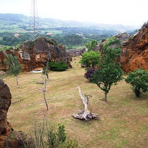 Jaguar Enclosure at Cabarceno, 11/06/15