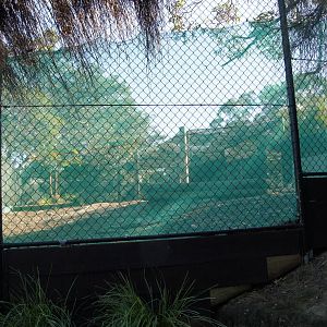 Former ostrich exhibit