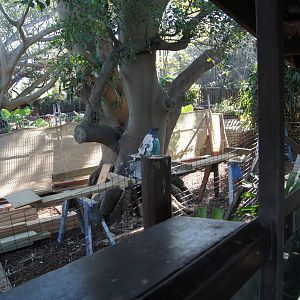 Chital deer exhibit additions