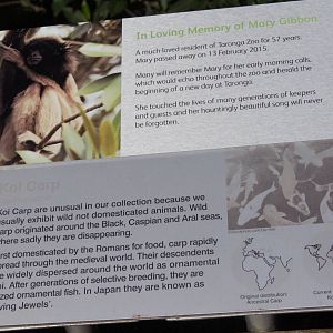 Memorial plaque for Mary