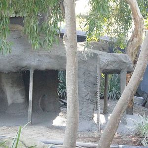 Komodo dragon exhibit additions