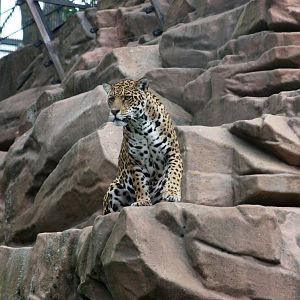 Parken Zoo Summer 2015