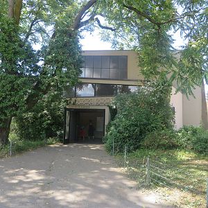 Current elephant indoors