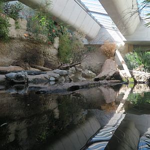 Gamgoas -crocodile enclosure