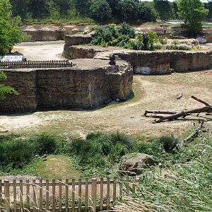 Rhino valley a closer look