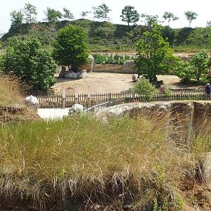 The view across the enclosure