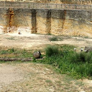 view of RH side from centre vantage point
