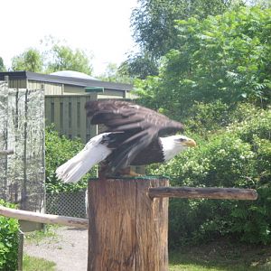 Waterside Theater-Arya