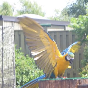 Waterside Theater-Blue