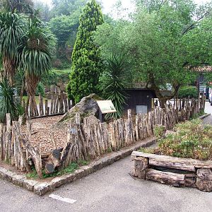 Tortoise Enclosure at Cabarceno, 11/06/15