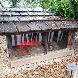 Tortoise Enclosure at Cabarceno, 11/06/15