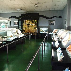 Reptile House Interior at Cabarceno, 11/06/15