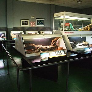 Reptile House Interior at Cabarceno, 11/06/15