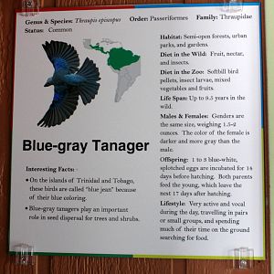 South America Exhibit - Signage