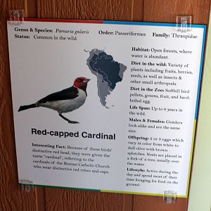 South America Exhibit - Signage