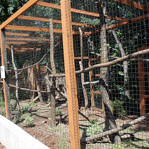 South America Exhibit - Coati Exhibit