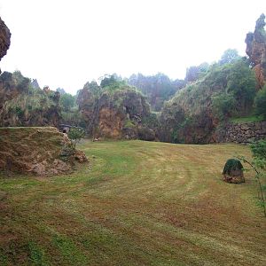 Cheetah Enclosure at Cabarceno, 11/06/15