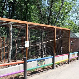 South America Exhibit - White-nosed Coati Exhibit