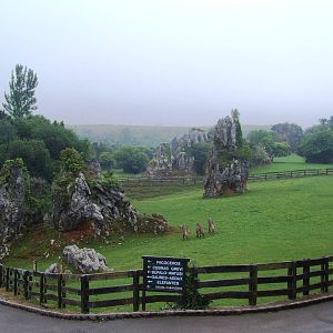 Waterbuck Enclosure at Cabarceno, 11/06/15