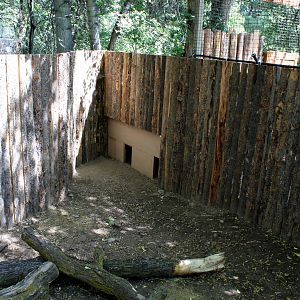 South America Exhibit - Patagonian Mara Holding