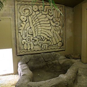 South America Exhibit - Indoor Capybara Exhibit