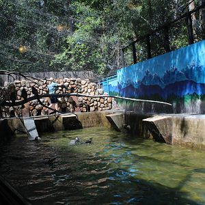 South America Exhibit Penguin Pavilion