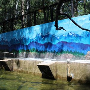 South America Exhibit Penguin Pavilion