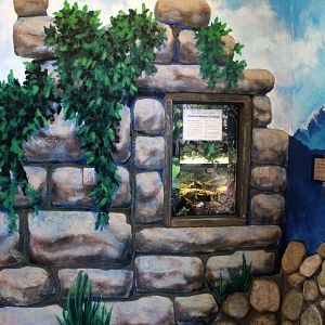 South America Exhibit Penguin Pavilion