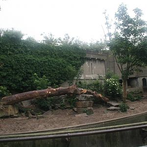 Lion Enclosure - June 2015