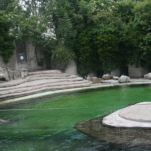 Sea Lion & Penguin Enclosure - June 2015