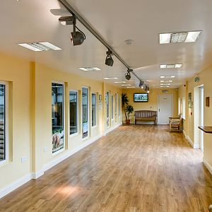 Internal Elephant Viewing Gallery - 21/06/2015