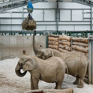 Elephant Barn - 21/06/2015