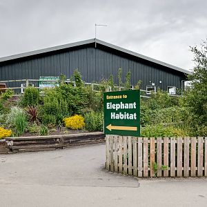 Elephant Habitat - 21/06/2015