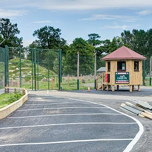 Barbary Macaque Drive-through - 21/06/2015
