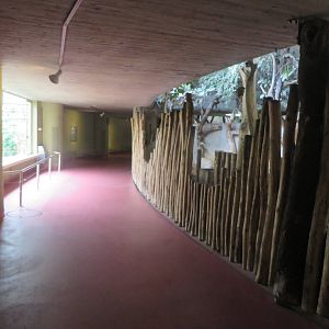 Africa house - soon to be renovated