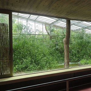 Africa house - soon to be renovated