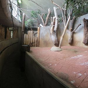 Africa house - soon to be renovated