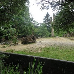 Africa house - soon to be renovated