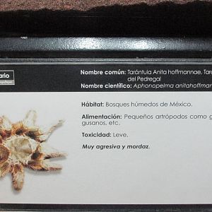 sign chapultepec zoo