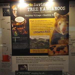 Australia Building- Tree Kangaroo Conservation Signs