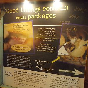 Australia Building- Tree Kangaroo Conservation Signs