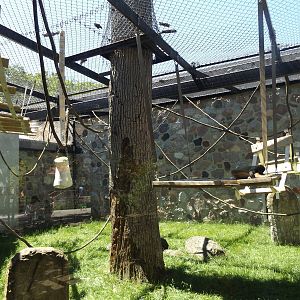 Primates of the World- New Outdoor Spider Monkey Exhibit Climbing Structure