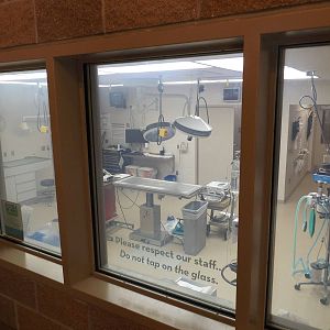 Animal Hospital- Treatment Room